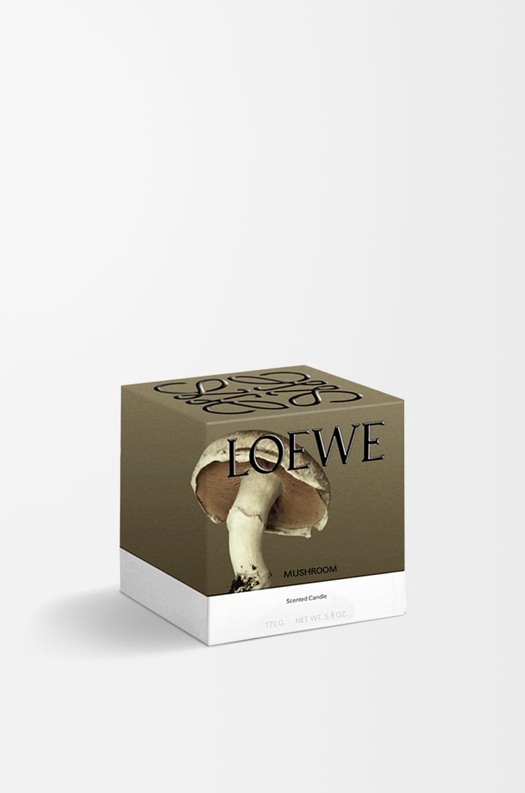 LOEWE Vela pequeña Mushroom Gris Claro