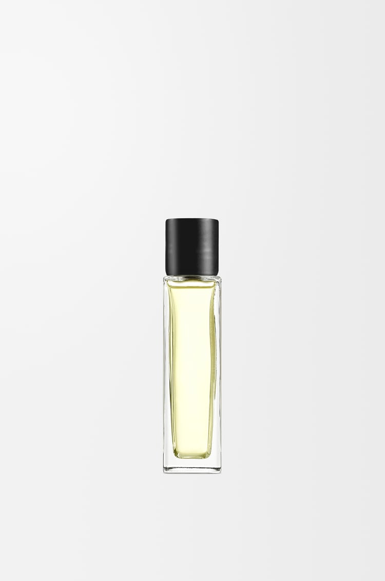 LOEWE Ambientador en espray Roasted Hazelnut Negro