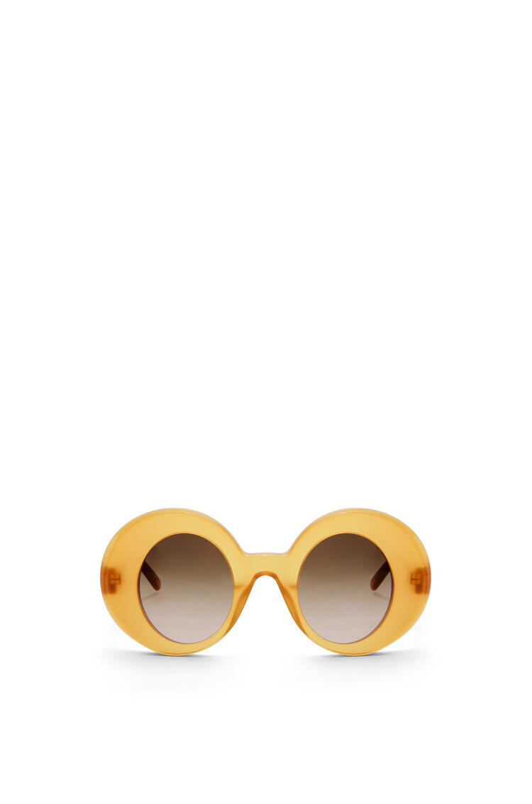 LOEWE Oversized round sunglasses in acetate Honey