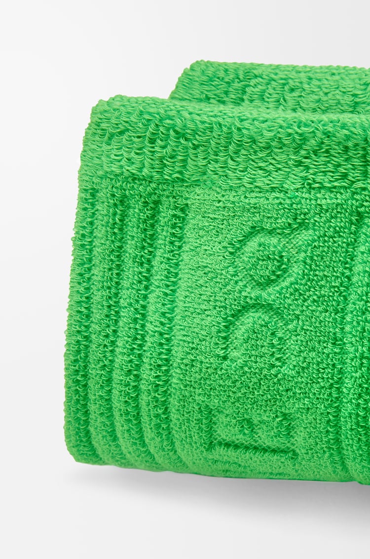 LOEWE Socks in cotton Green
