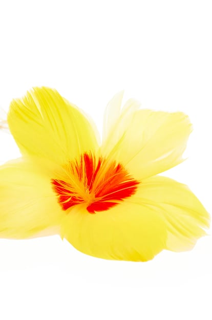 LOEWE Collier pendentif hibiscus en plumes et laiton ARGENT/JAUNE plp_rd
