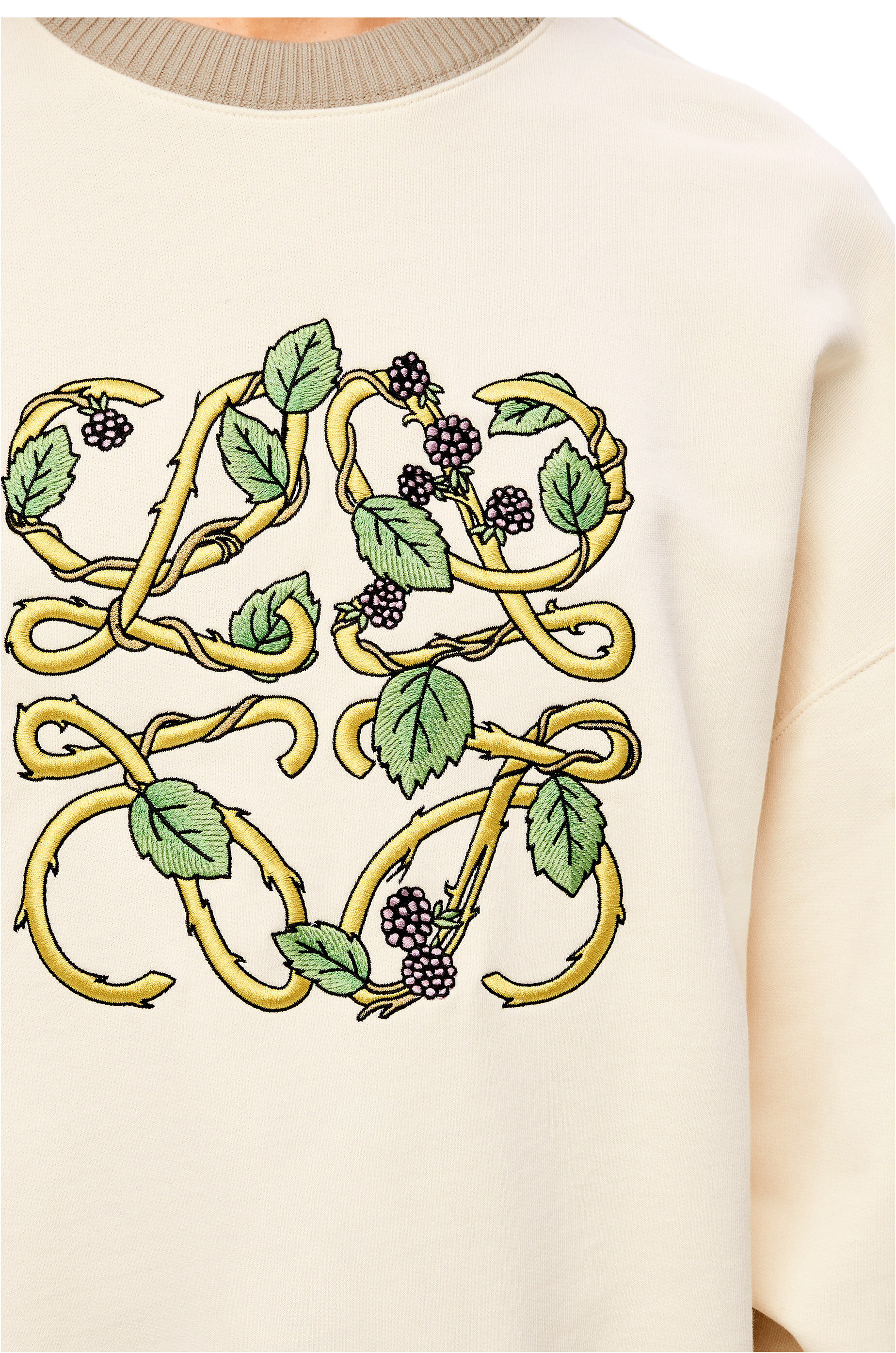 Herbarium Anagram sweatshirt in cotton