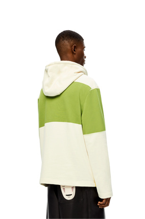 LOEWE Otori-Sama hoodie in cotton Multicolor plp_rd