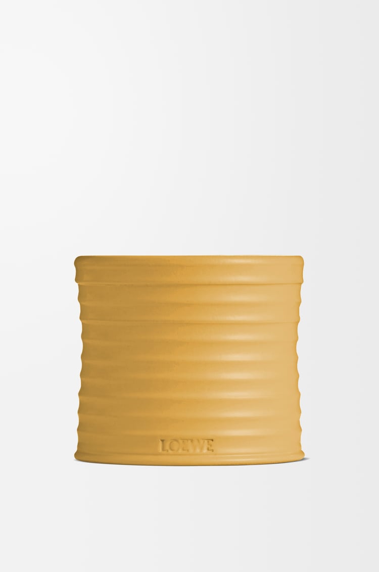 LOEWE ワサビ キャンドル ミディアム イエロー