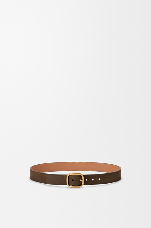 LOEWE Cinturón curvilíneo en nobuck Tundra/Dorado Vintage