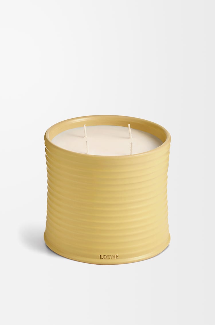 LOEWE Large Honeysuckle candle Yellow