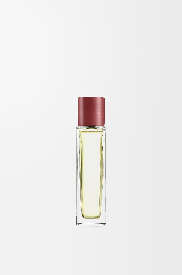 LOEWE Ambientador en espray Beetroot Magenta