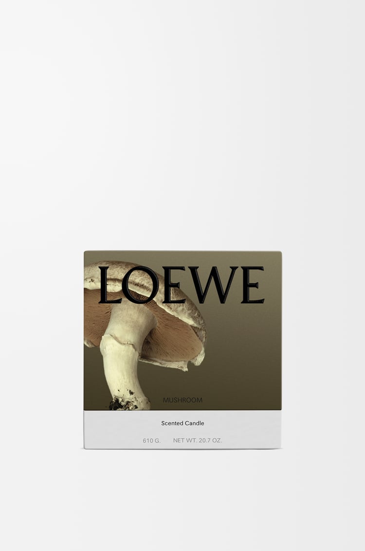 LOEWE Medium Mushroom candle Light Grey