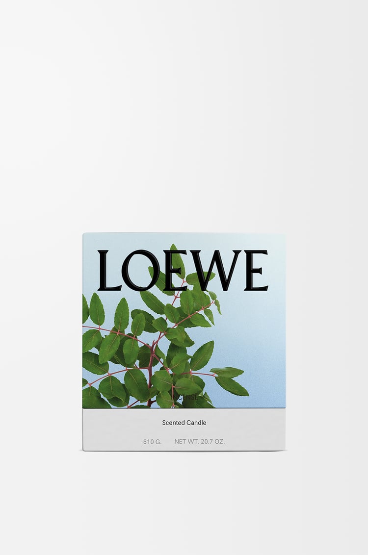 LOEWE Vela mediana Incense Azul Oscuro