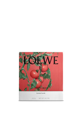 LOEWE Vela mediana Tomato Leaves Rojo plp_rd