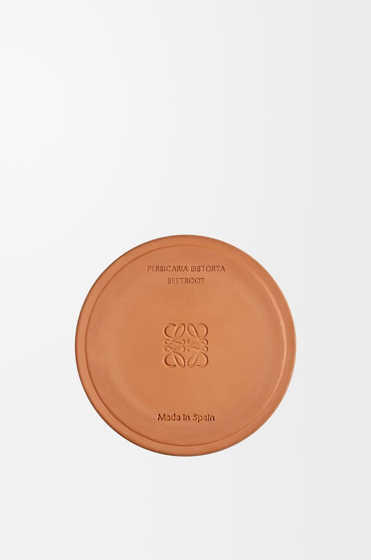 LOEWE Medium Beetroot candle Magenta