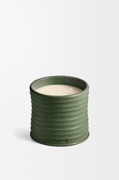LOEWE Vela mediana Scent of Marihuana Verde Oscuro