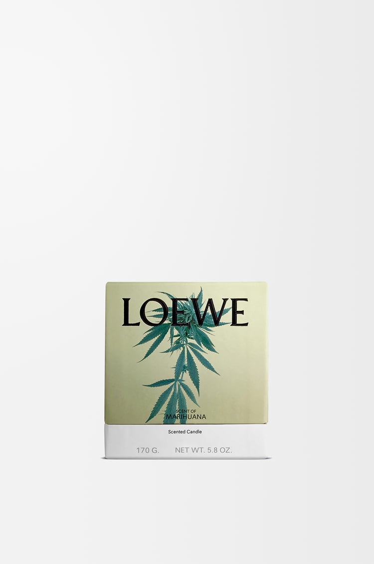 LOEWE Small Scent of Marihuana candle Dark Green