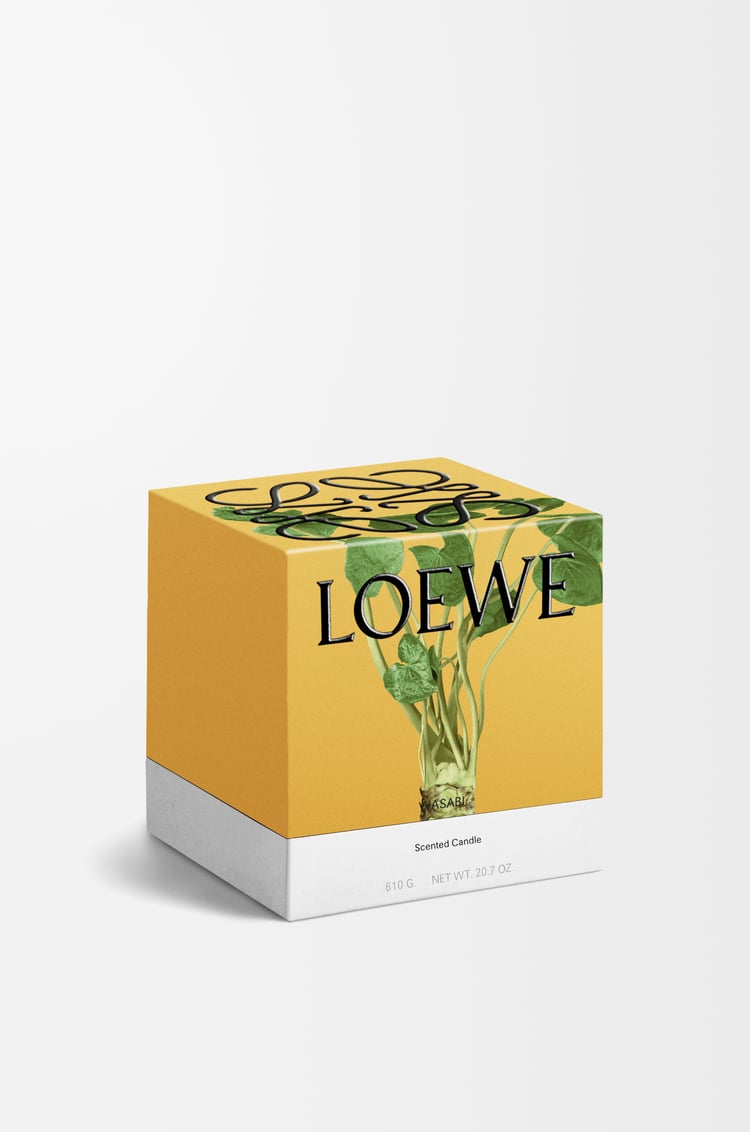 LOEWE ワサビ キャンドル ミディアム イエロー