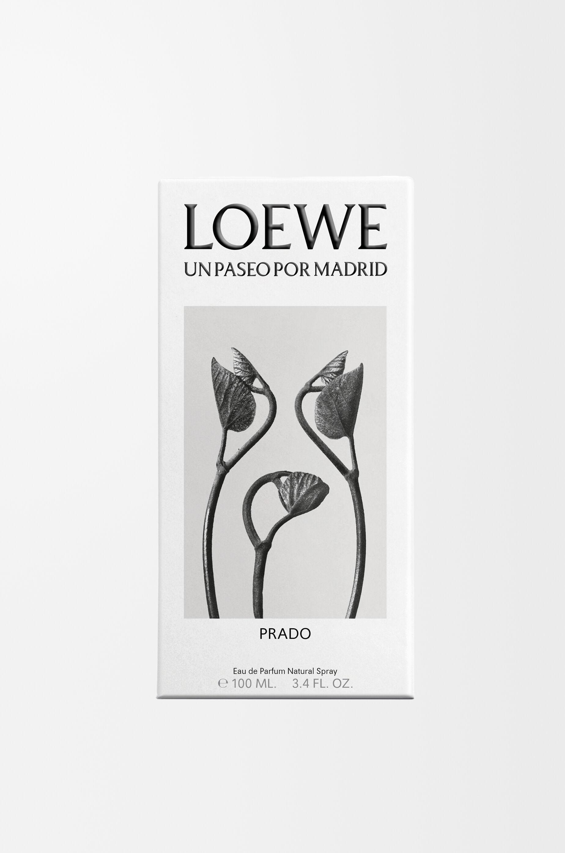 LOEWE Un Paseo Por Madrid Prado Eau de Parfum 100 ml Incolore - LOEWE