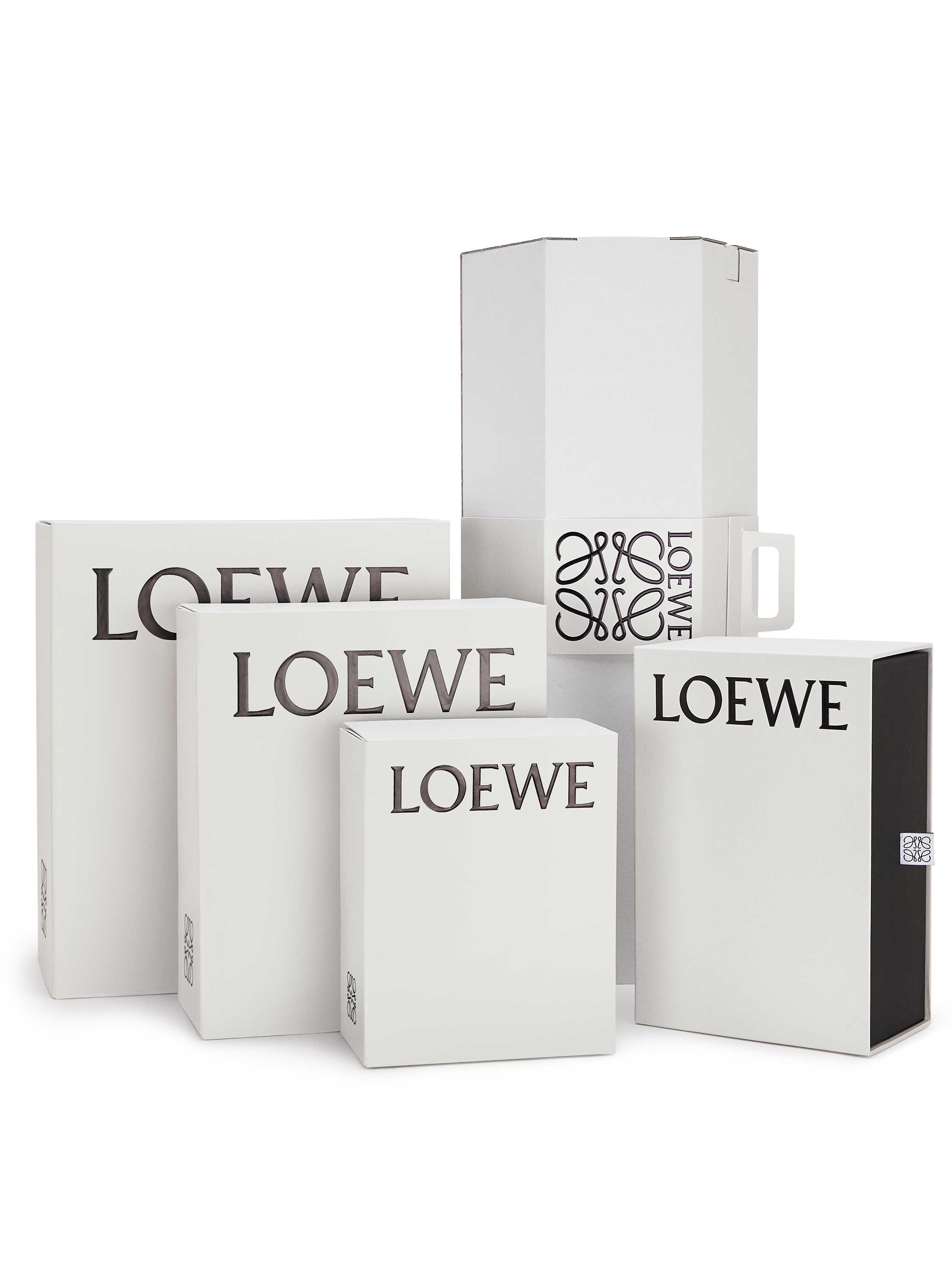 LOEWE | reinventing craft and leather