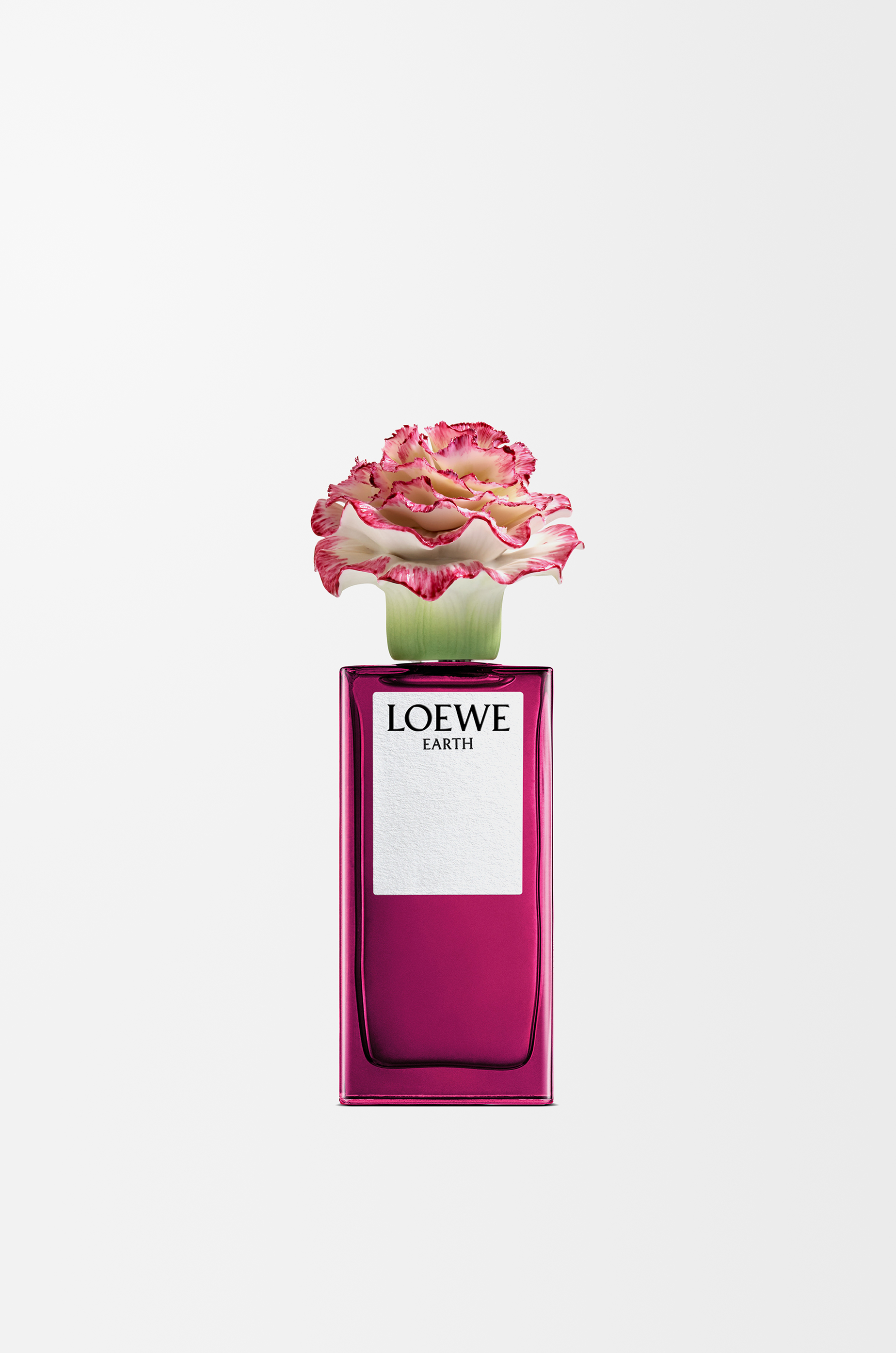 その他 LOEWE EARTH 100ml Loewe Earth Eau de Parfum 100ml | Liberty