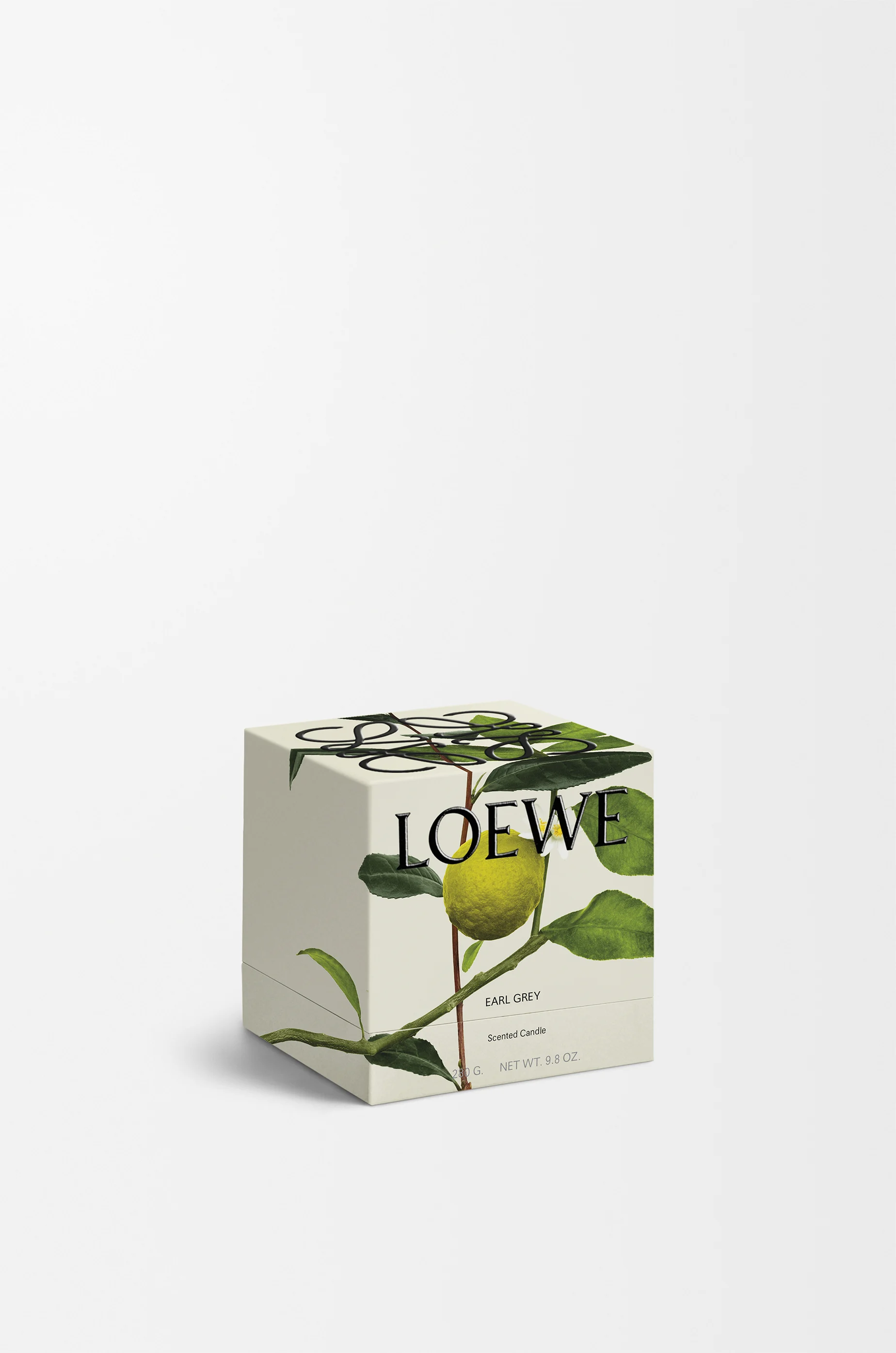 LOEWE Petite bougie parfumée Earl Grey Doré