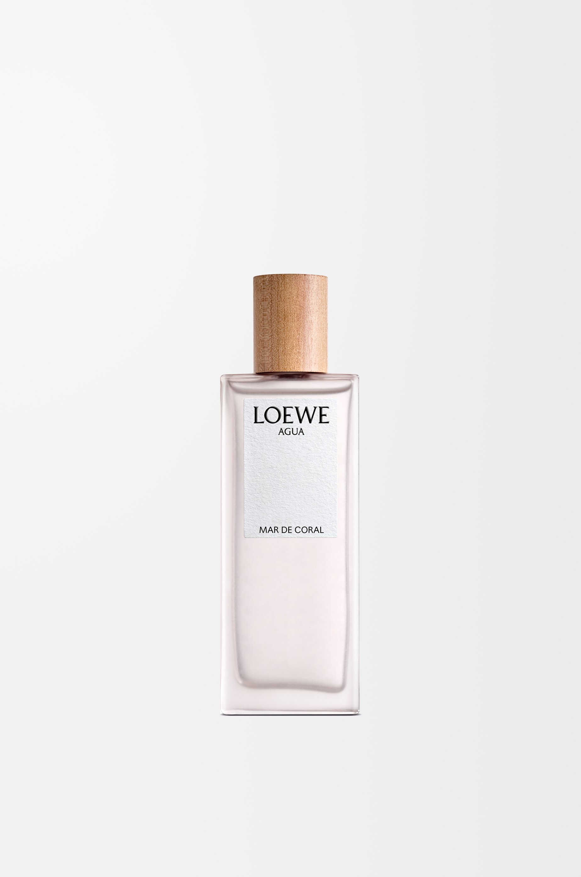 ロエベ　マルドコーラル　loewe アグア