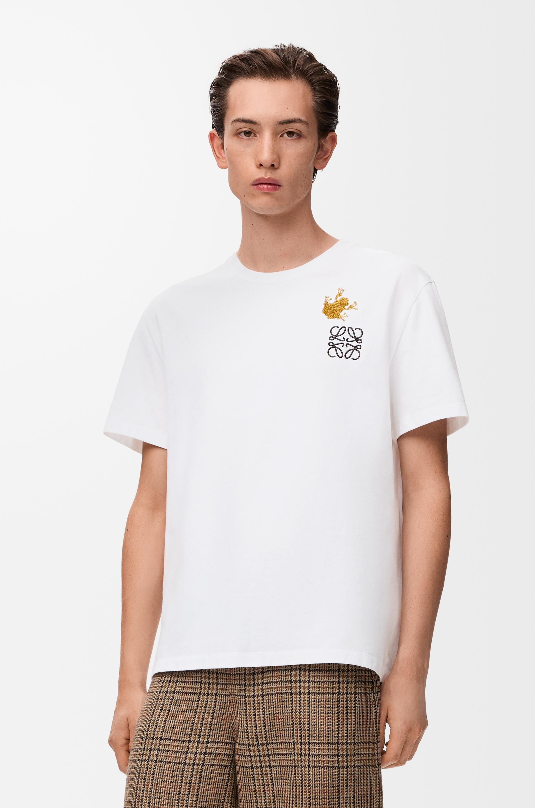 LOEWE リラックスフィット Tシャツ（コットン） ホワイト/マルチカラー